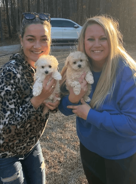 Glückliche Familie mit Alfie